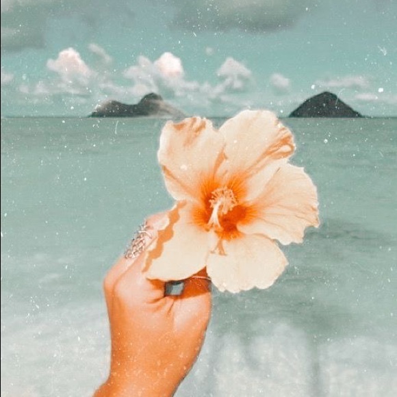 Meet your Posher, Lilianys - Picture 1 of 1